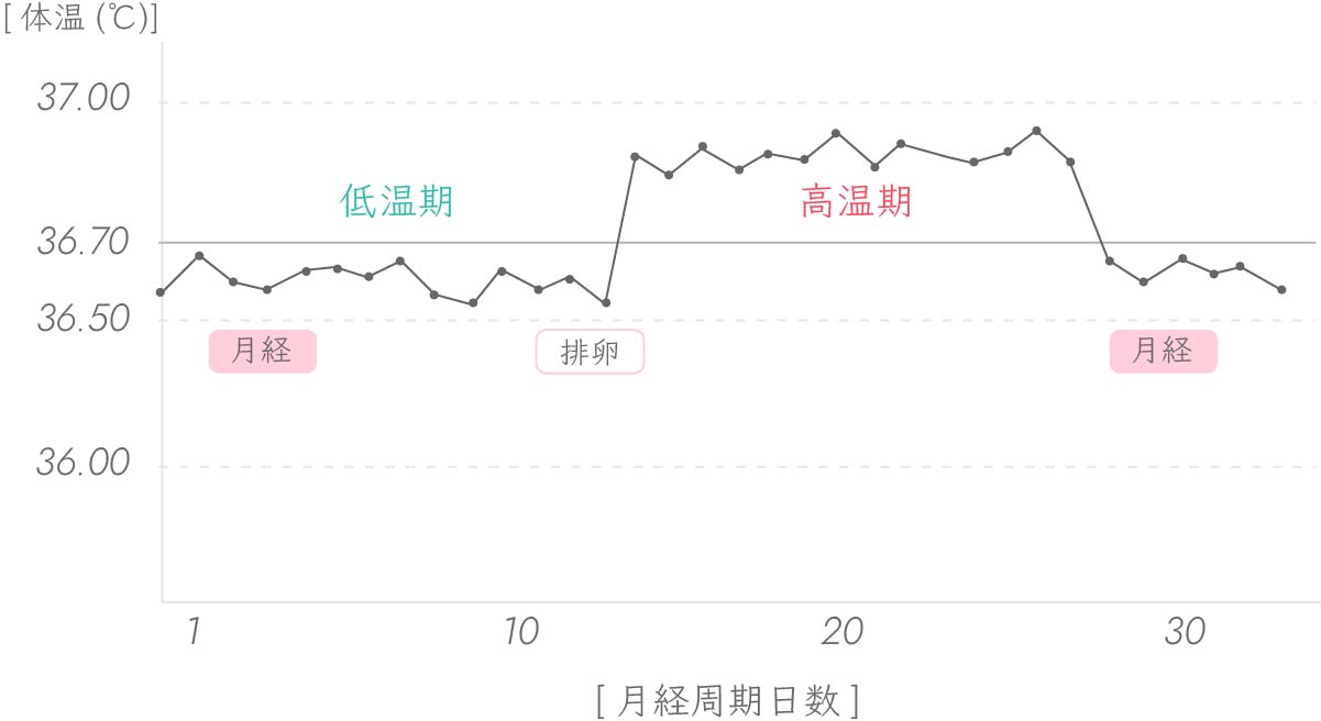 基礎体温指導